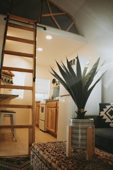 Agave Tiny House At Cactus Flower-Hot Tub-Pet Friendly-No Pet Fees! Albuquerque Exterior foto