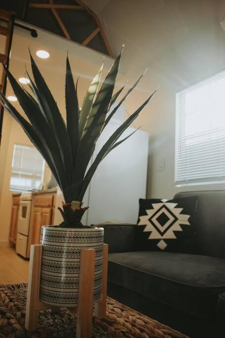 Agave Tiny House At Cactus Flower-Hot Tub-Pet Friendly-No Pet Fees! Albuquerque Exterior foto